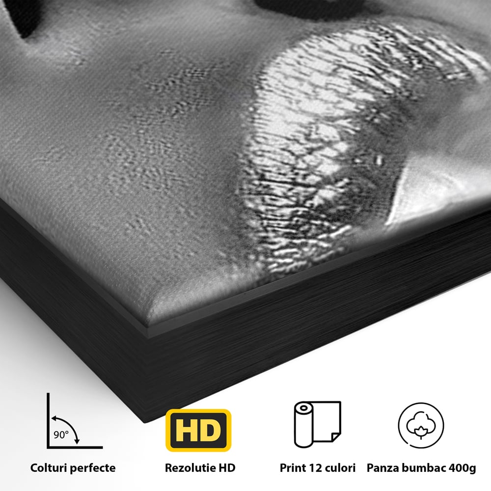Detaliu al suprafetei: tablou canvas cu buze si fum, in rama de aluminiu negru